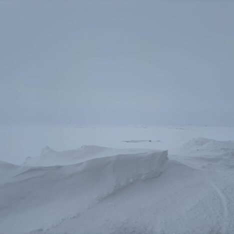 La revue culinaire :)